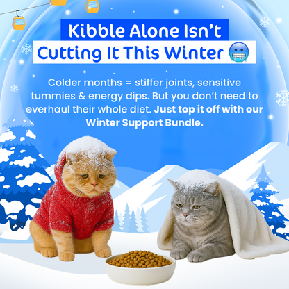 [20% OFF RRP]  Kitty Winter Wonderpaws Value Bundle