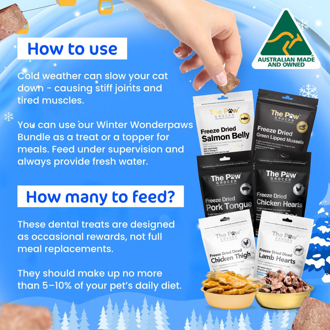[20% OFF RRP]  Kitty Winter Wonderpaws Value Bundle