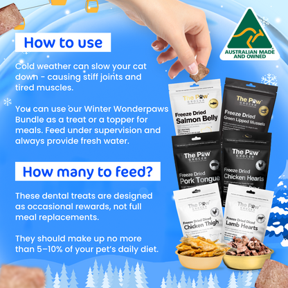 [20% OFF RRP]  Kitty Winter Wonderpaws Value Bundle