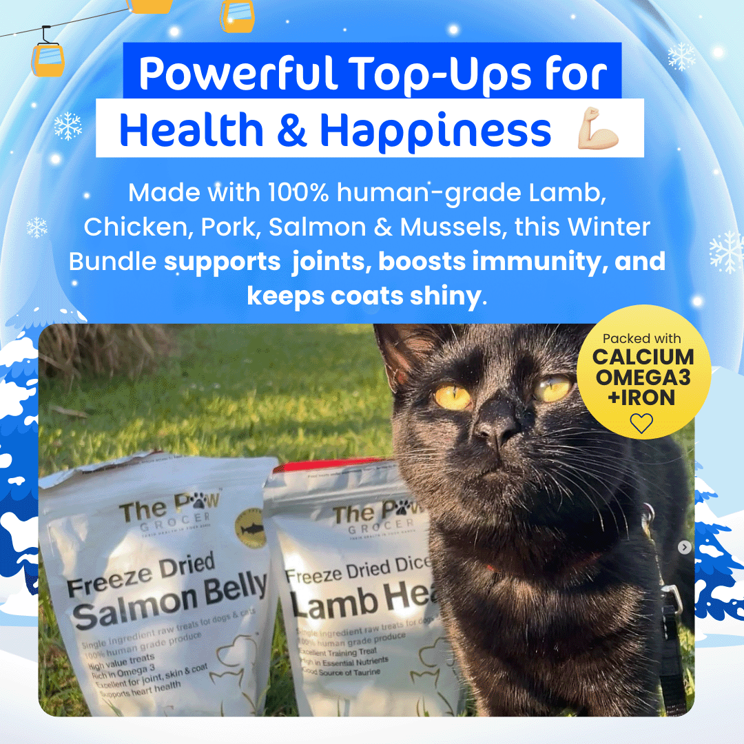 [20% OFF RRP]  Kitty Winter Wonderpaws Value Bundle