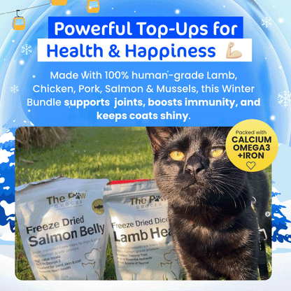 [20% OFF RRP]  Kitty Winter Wonderpaws Value Bundle