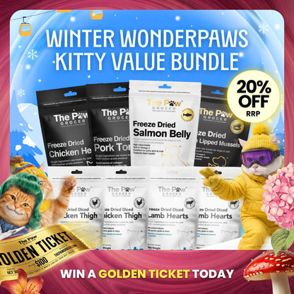 [20% OFF RRP]  Kitty Winter Wonderpaws Value Bundle