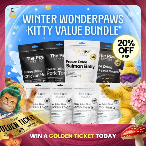 [20% OFF RRP]  Kitty Winter Wonderpaws Value Bundle