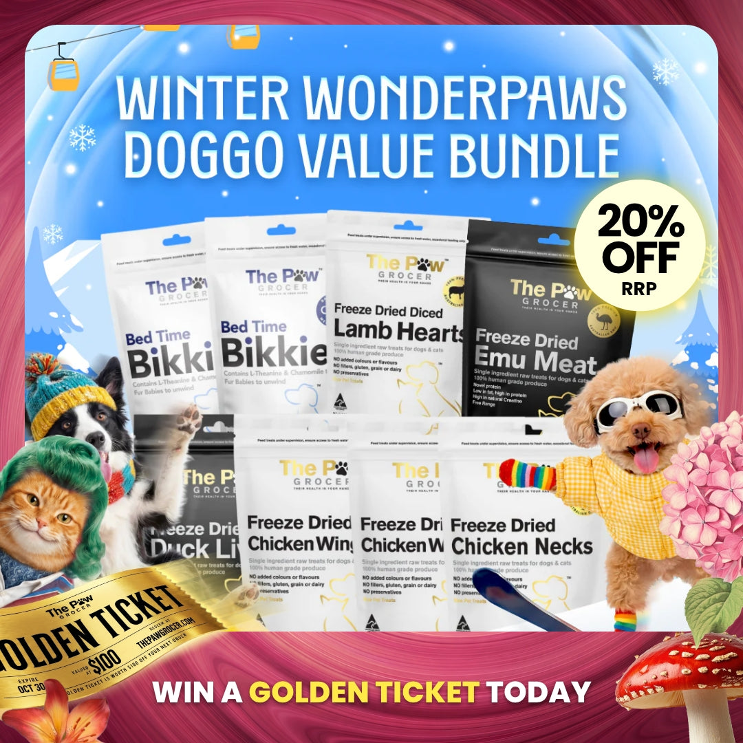 [20% OFF RRP]  Doggo Winter Wonderpaws Value Bundle