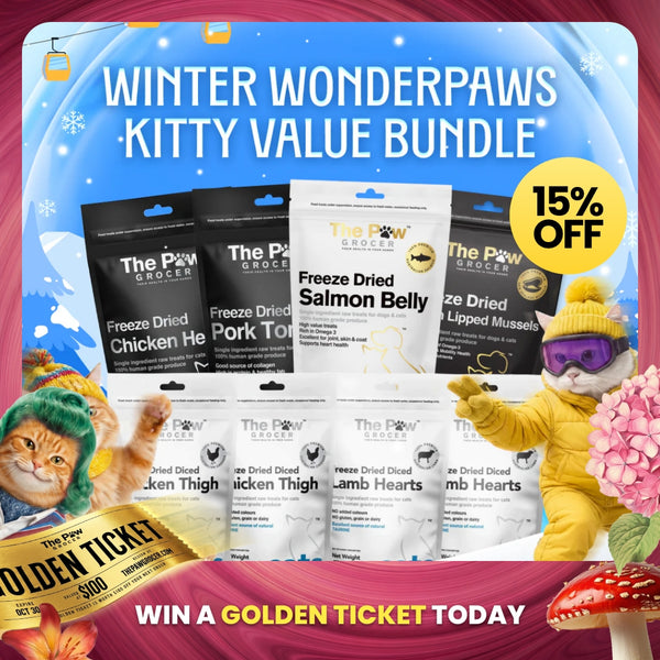 [15% OFF] Kitty Winter Wonderpaws Value Bundle