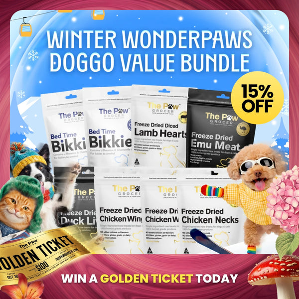 [15% OFF] Doggo Winter Wonderpaws Value Bundle