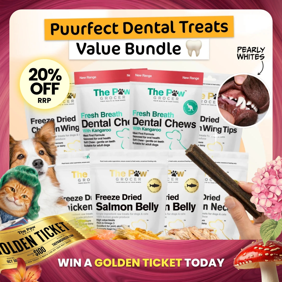 [20% OFF RRP]  Dental Treats Value Bundle [FOR DOGGOS]