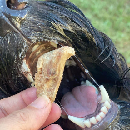 Chicken Wing Tips - 90 grams